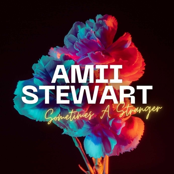 Amii Stewart-Sometimes A Stranger 2023